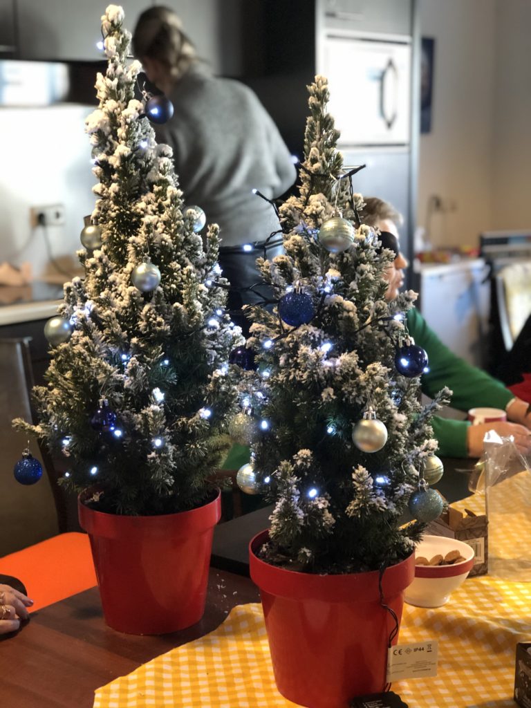 Good Days -stichd kerstboompjes bij Noorderkroon (3)